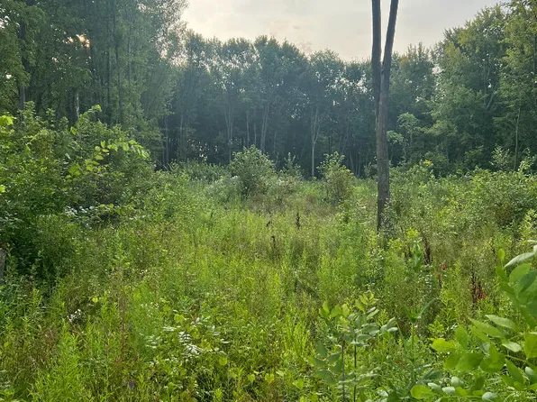 51760 S Foster Rd, Chesterfield, MI 48047