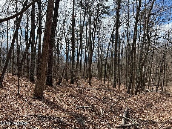 2nd image of 0 Swann Saddle Rd Lot 12