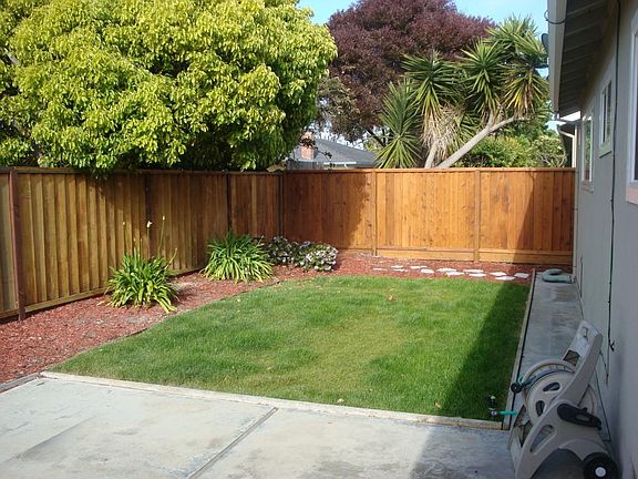 Back yard