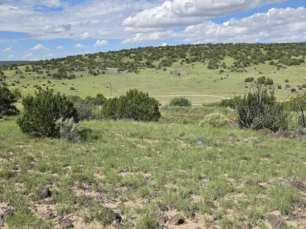 County Road 8624, Concho, AZ 85924