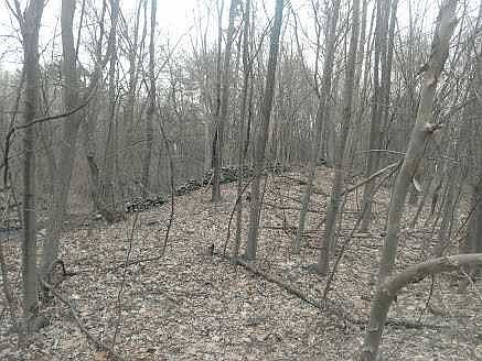 5th image of Daniella Ct