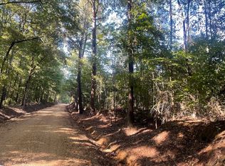 0 County Line Rd, Maben, MS 39750