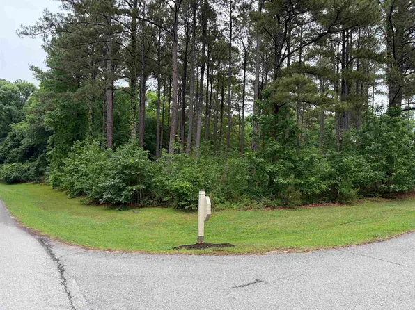 1110 Long Cove Dr #101, Greensboro, GA 30642