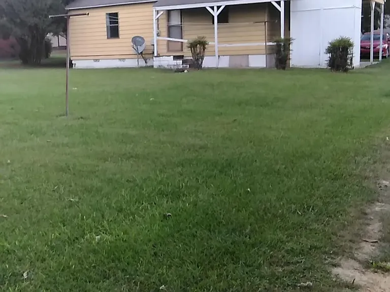 View from backyard