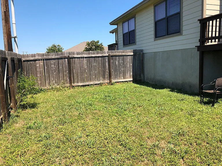 Backyard