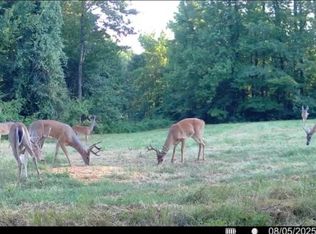 PARCEL 21 37 #24-201, Hickman, KY 42050