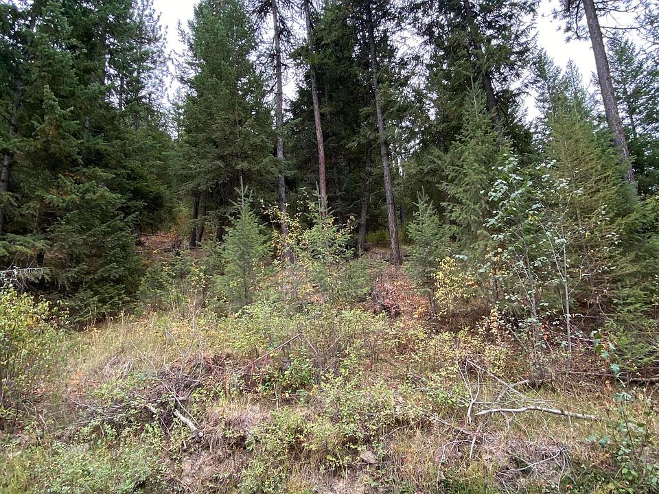 2nd image of 457 McLaughlin Creek Rd