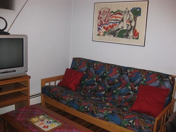 Living area with futon