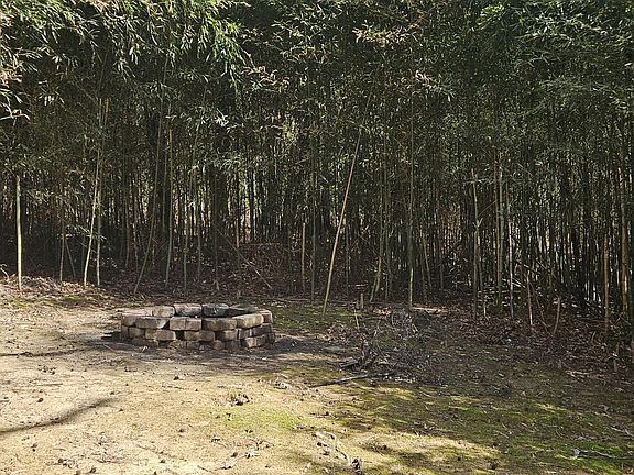 5th image of 800 Hamlets Chapel Rd Lot 2004