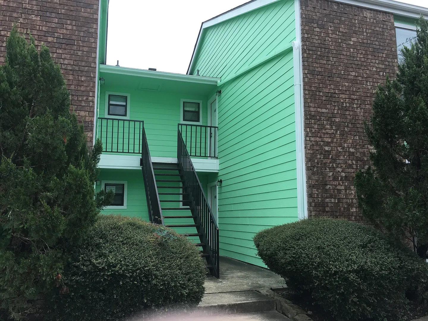 Meadow Green — Photo 3