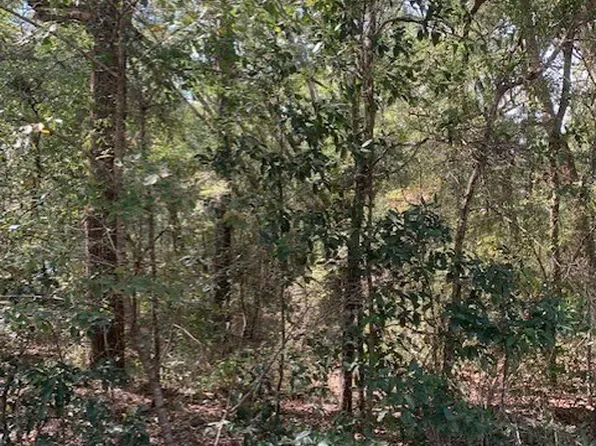 NE Beverly Hills Dr, Mayo, FL 32066