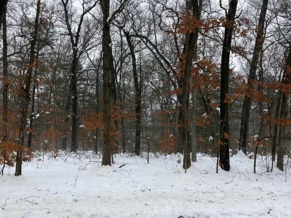 3815 Ewing Rd, Twin Lake, MI 49457