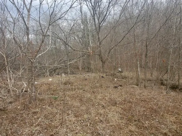 19390 Brownville Rd, Waynesville, MO 65583