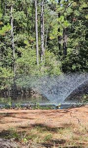 470 Weans Rd, Walterboro, SC, 29488