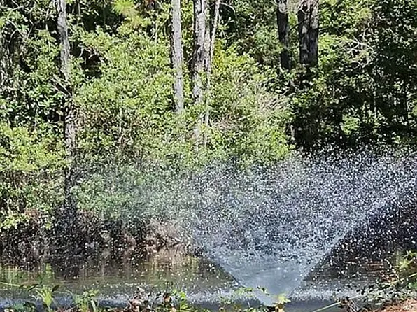 470 Weans Rd, Walterboro, SC 29488