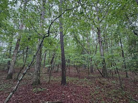 5th image of LOT 2 Claude Lewis Rd Lot 2