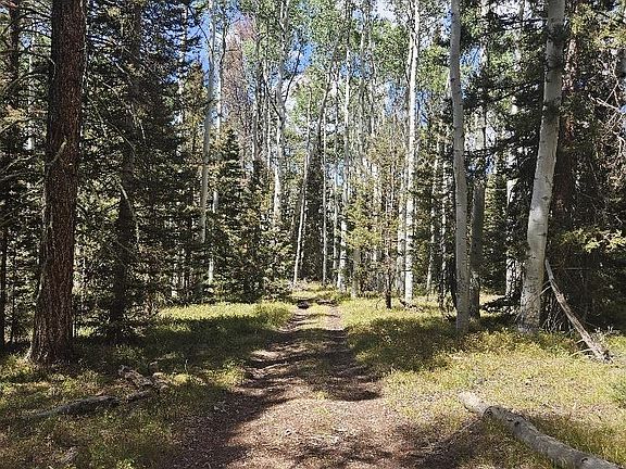 2nd image of 155 Aspen Trail