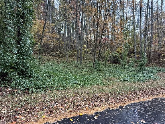 4th image of 34 Rustling Woods Trail