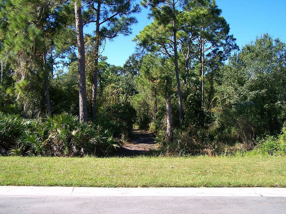 wooded path from new community to natural beach on Upper Tampa Bay