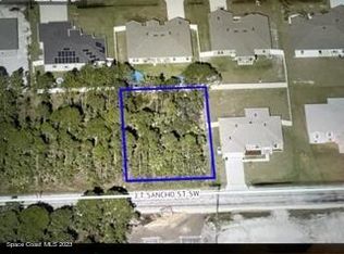 541 J T Sancho St SW, Palm Bay, FL 32908