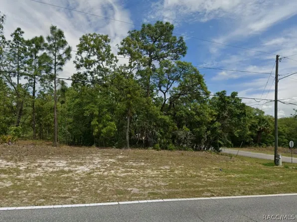 873 W Hampshire Blvd, Citrus Springs, FL 34434