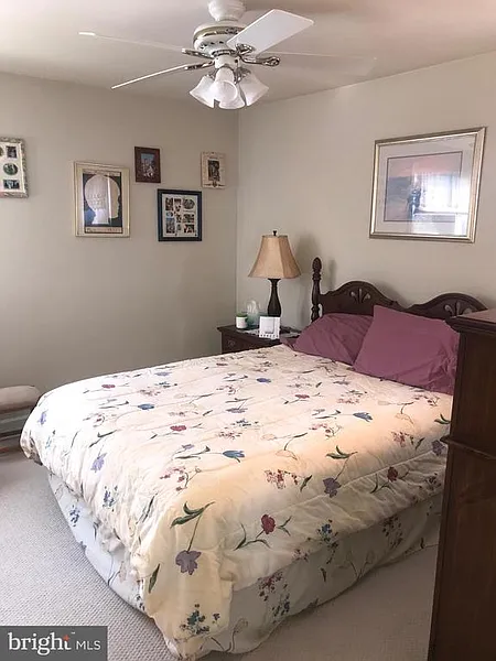 Thumbnail 16