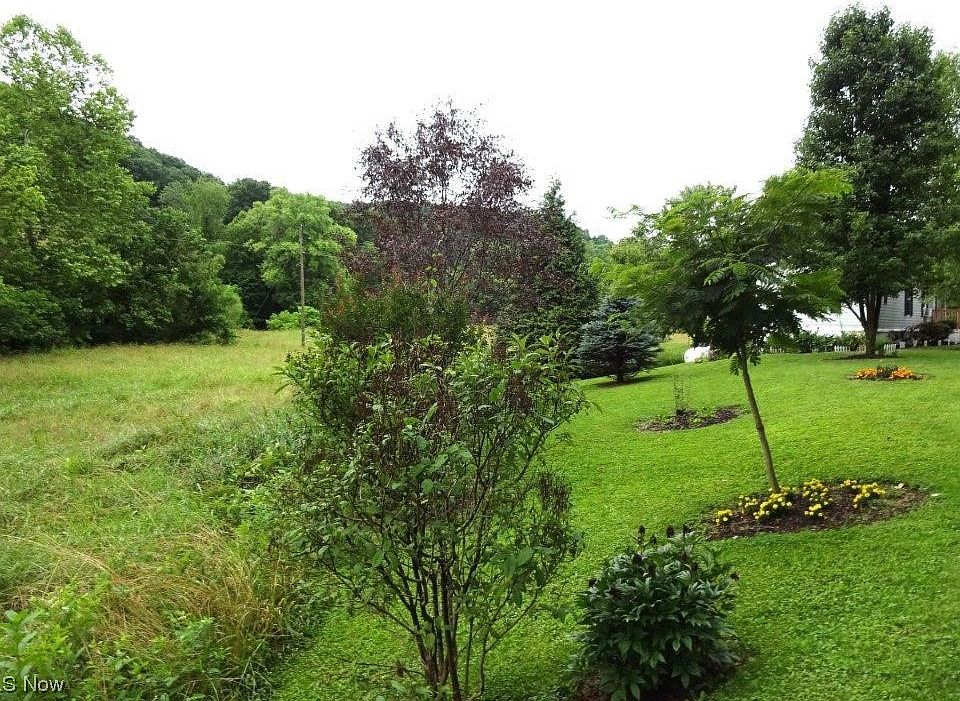 605 Middle Frk, Reedy, WV 25270 MLS 4471820 Zillow