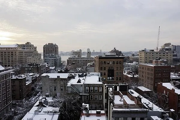 Rented by Domus Realty | media 33