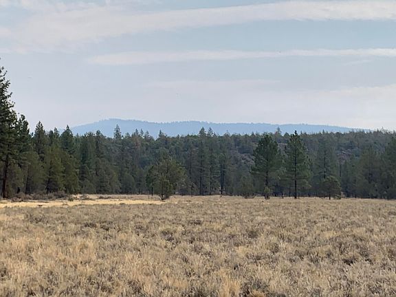4th image of 542-529 Little Valley Rd