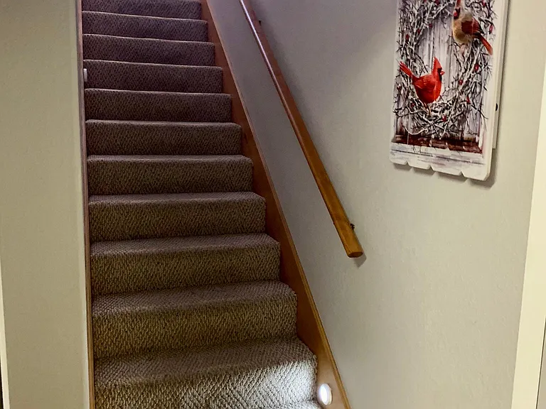 Stairs to garage