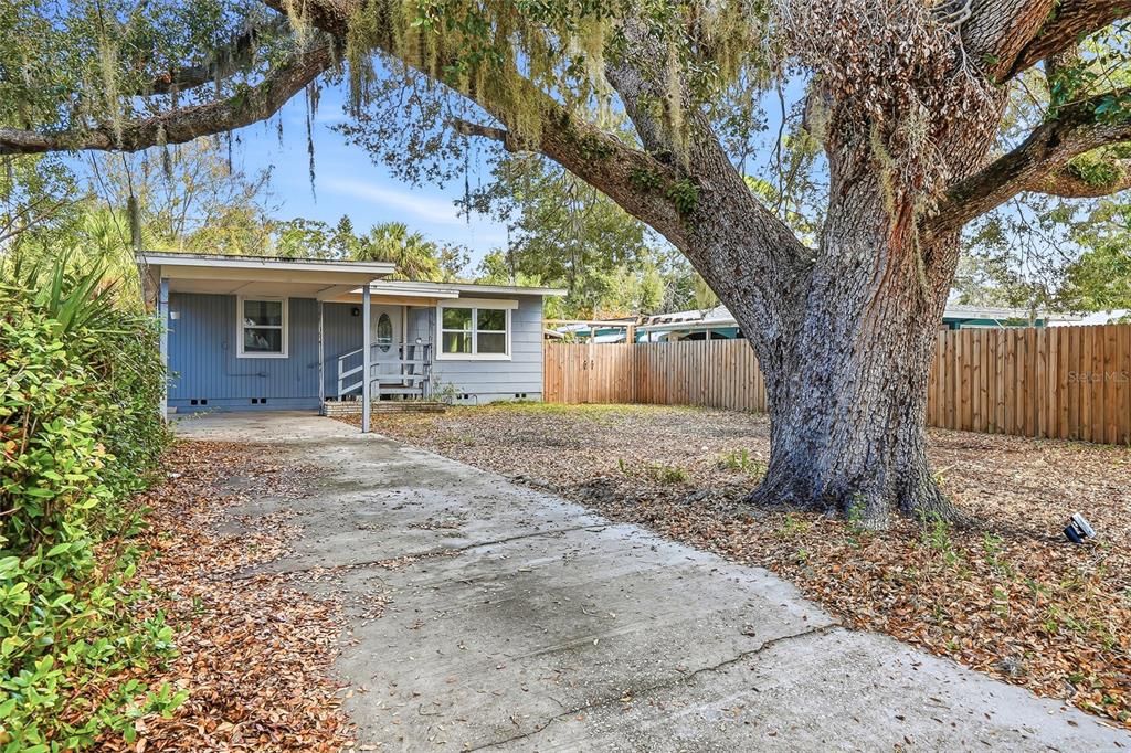 1137 40th St, Sarasota, FL - View 2
