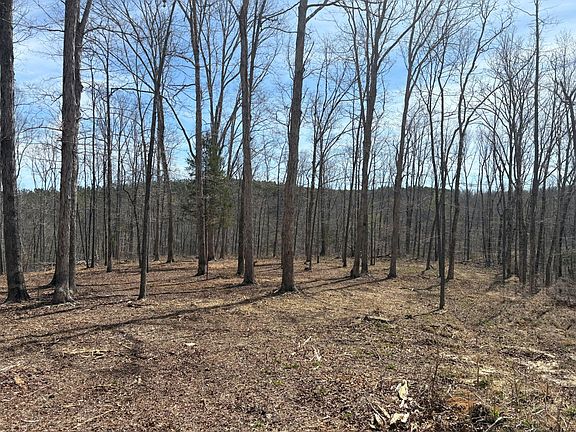 4th image of 13 Shelton Cemetery Rd