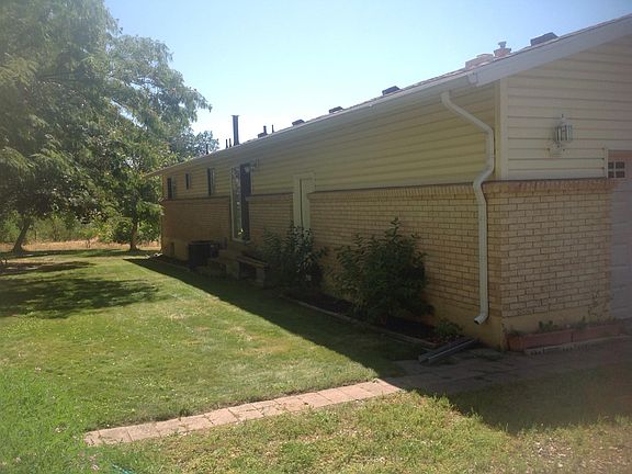 Back yard with shade and walnut trees
