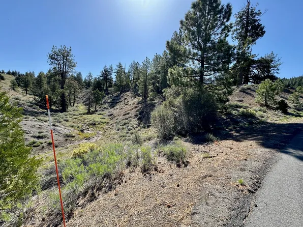 492 Clouds Rst, Portola, CA 96122