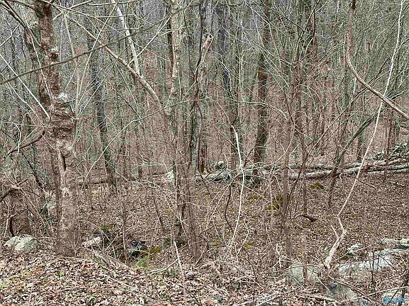 5th image of 4621 Legacy Preserve Way SE