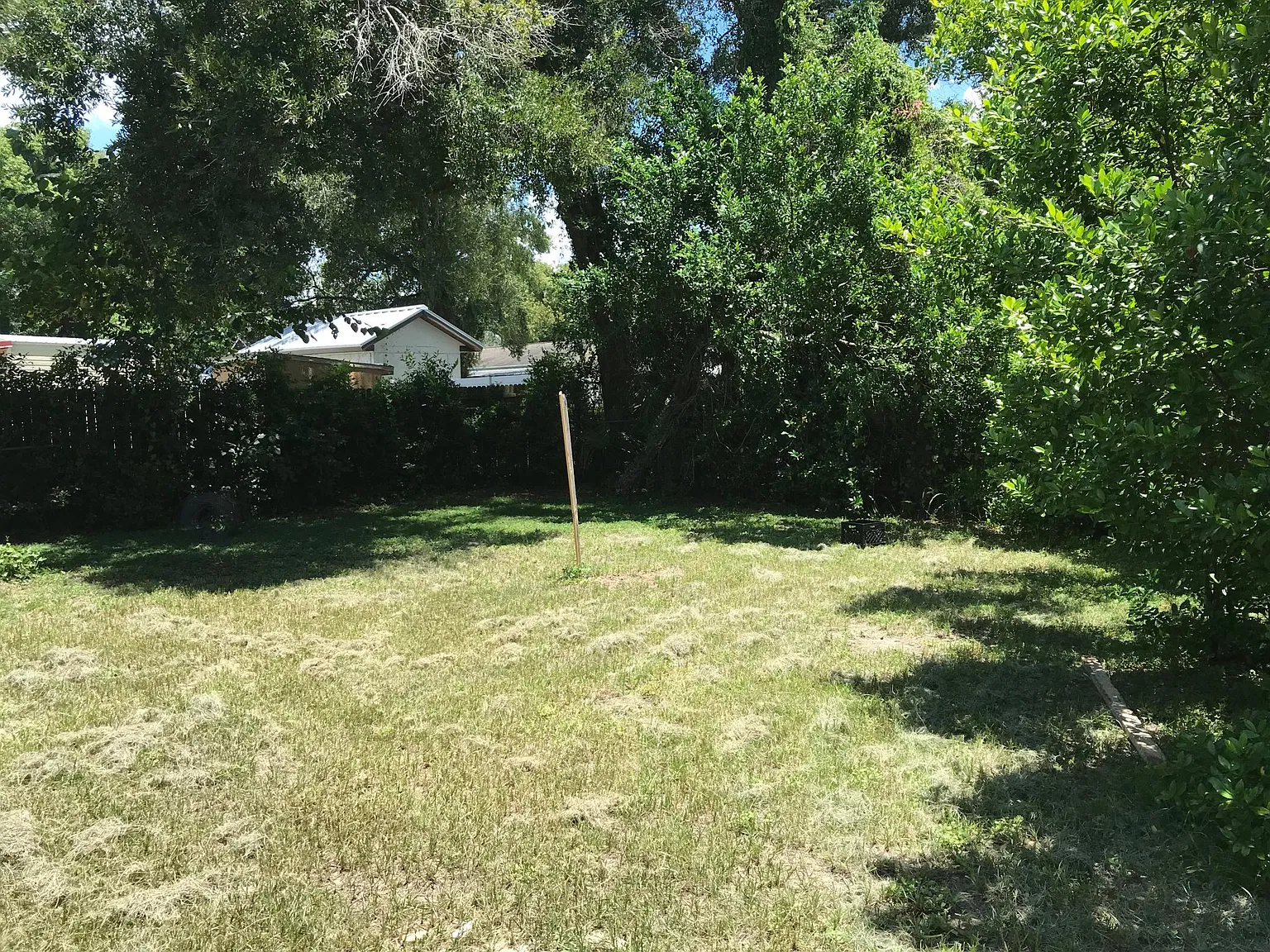 3 bed, 1236 sqft, $1,995 — Photo 3