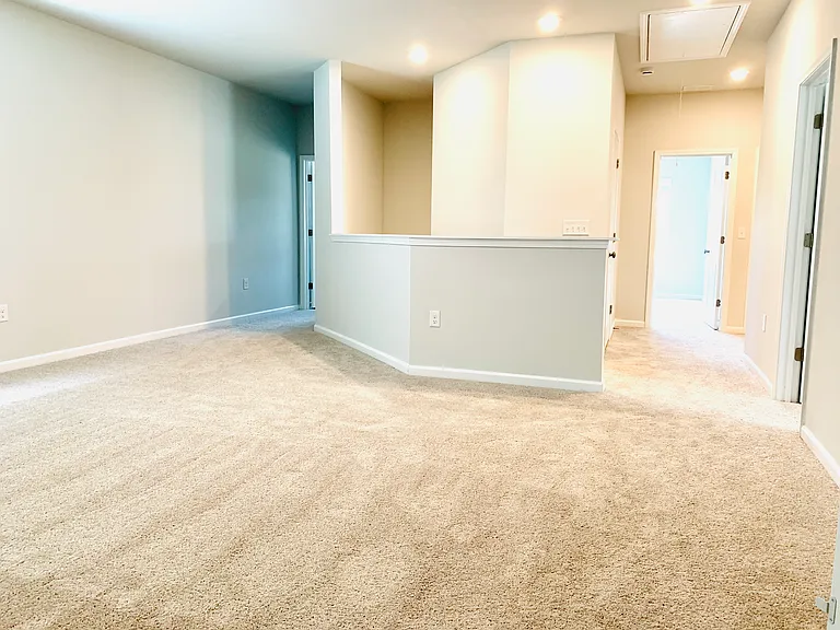 134 Green Love Ln — Photo 17