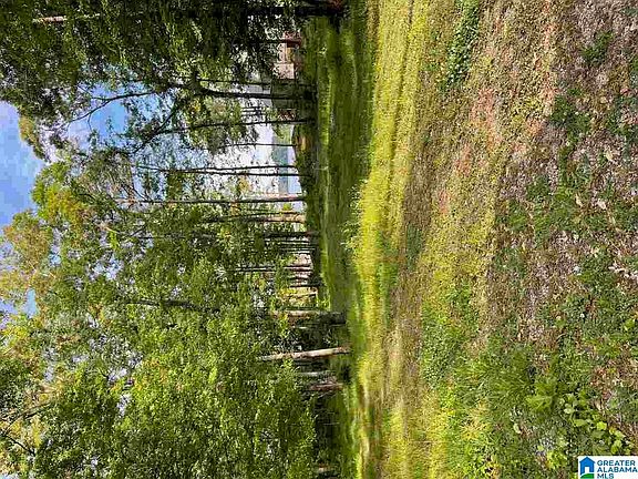 3rd image of 1058 Paradise Cove Ln