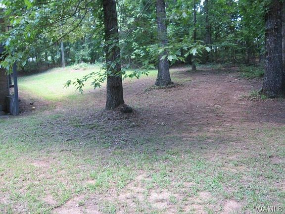 4th image of 11426 Mount Vernon Dr