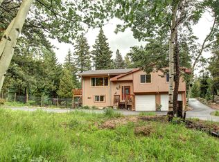 11213 Conifer Mountain Rd, Conifer, CO 80433