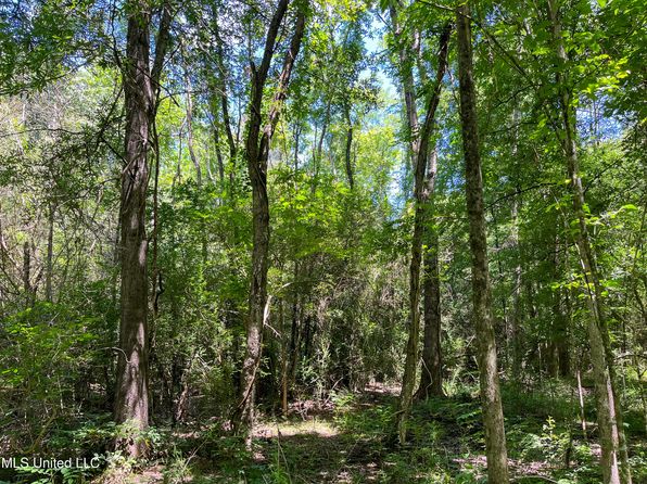 State Highway 149 #D, D Lo, MS 39062