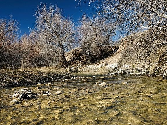 3rd image of 161 Colorado Land Livestock