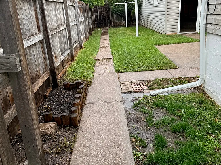 Back Yard