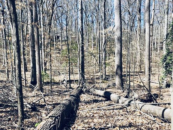 5th image of 12357 Purcell Rd