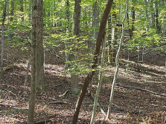 4th image of 3816 Jim Smith Ln