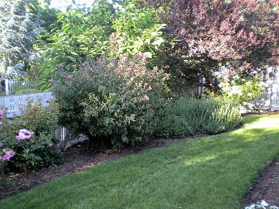 Fenced Front Yard