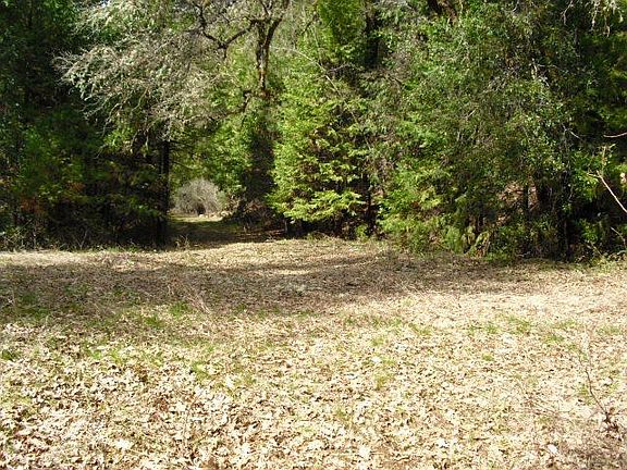2nd image of 19055 Cedar Pines Dr