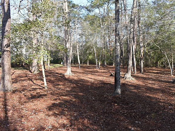 4th image of 427 Autumn Chase SE LOT S2-36