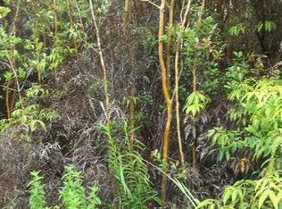 Road 13 LOT 713, Volcano, HI 96785