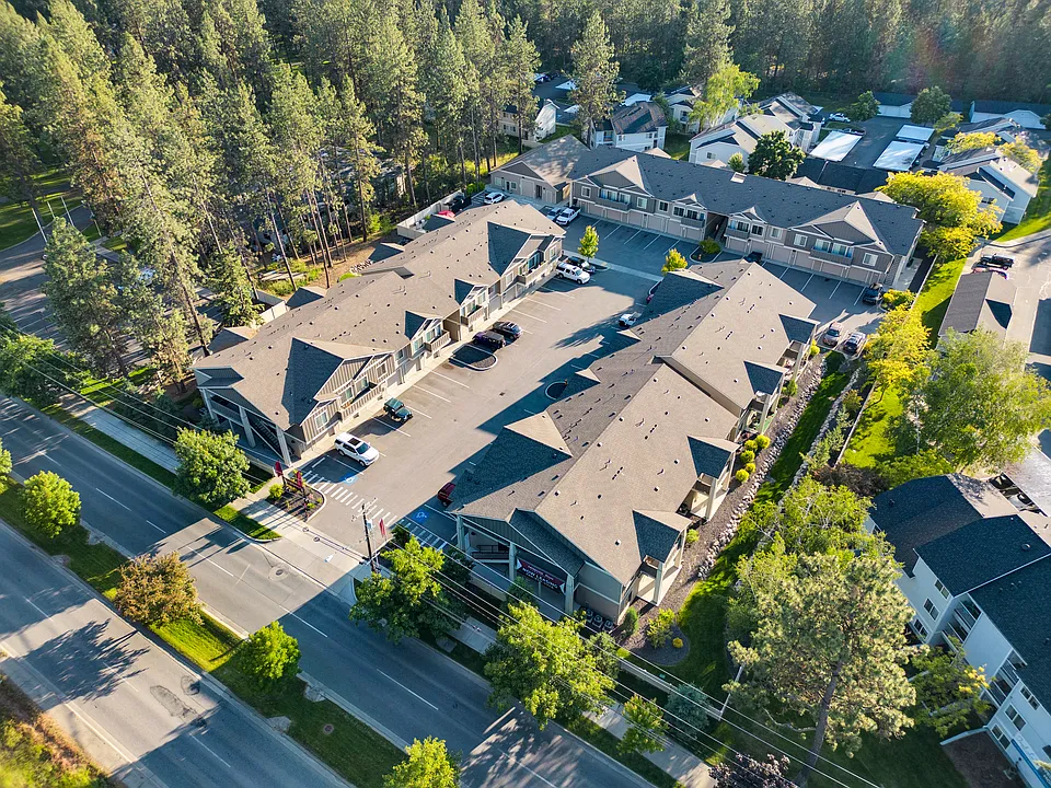 Centennial Pines